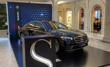 Новый мерин