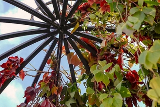 Фотозона Cage