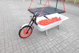 Фотозона Мотованна