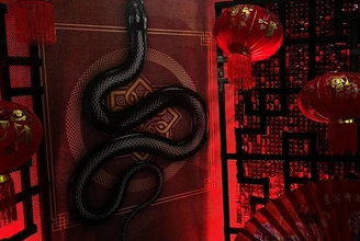 Фотозона "Китайский змей 2025"