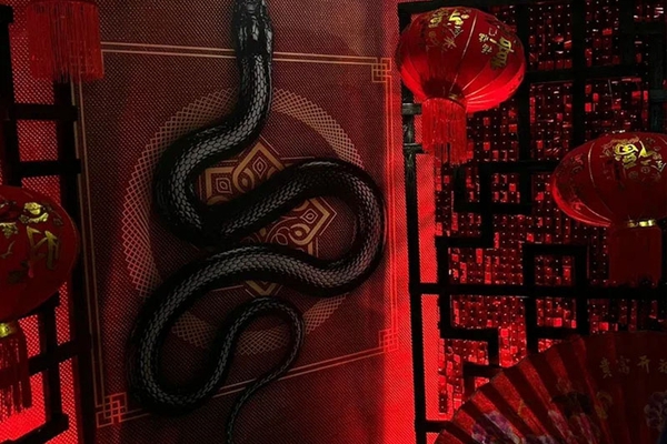 Фотозона "Китайский змей 2025"