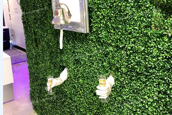 Стена для шампанского живая