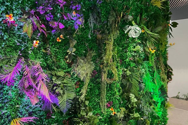 Тропическая фотозона