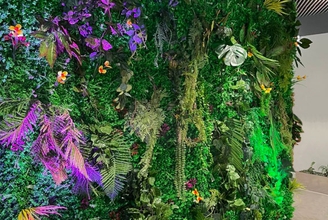 Тропическая фотозона