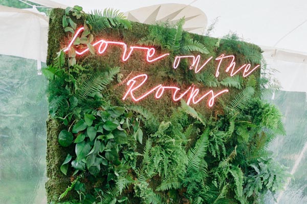 Зеленая фотозона