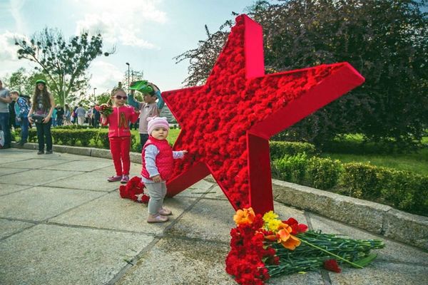 Фотозона Звезда из цветов