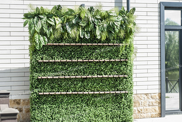 Стена для шампанского Фотозона