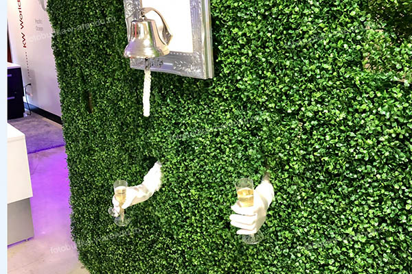 Стена для шампанского живая