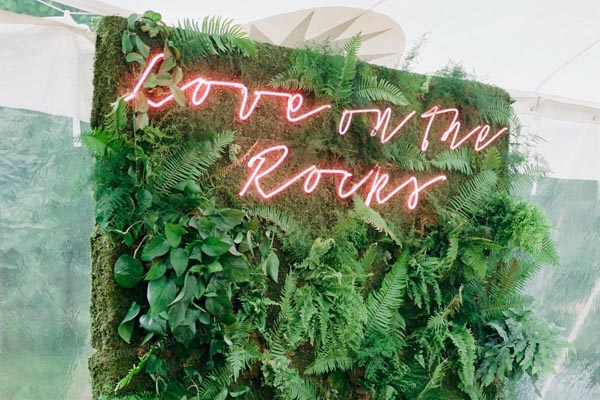 Зеленая фотозона