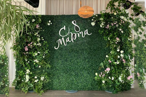 Зеленая фотозона